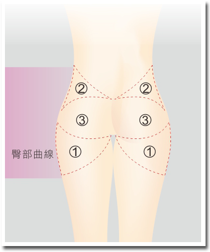 臀部雕塑曲線圖